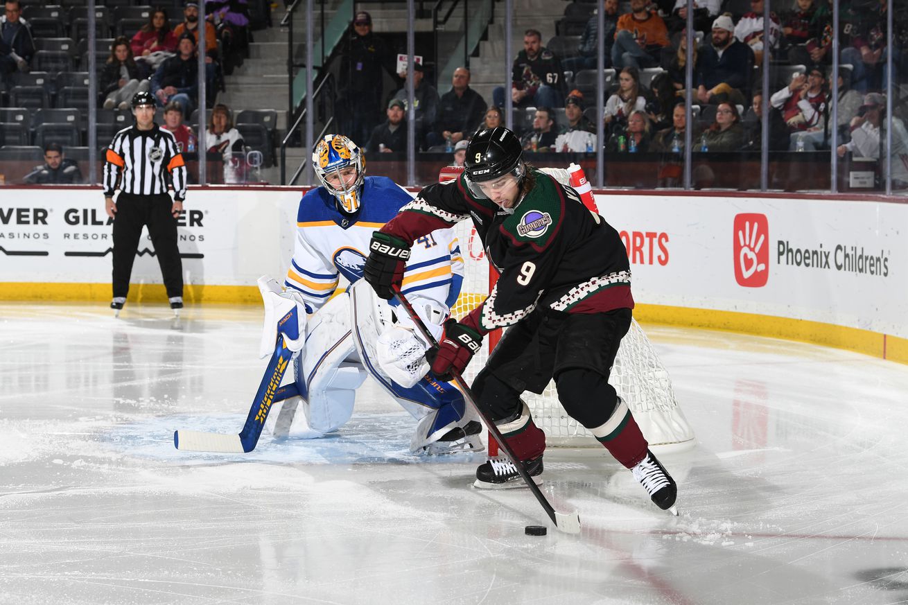 Buffalo Sabres v Arizona Coyotes