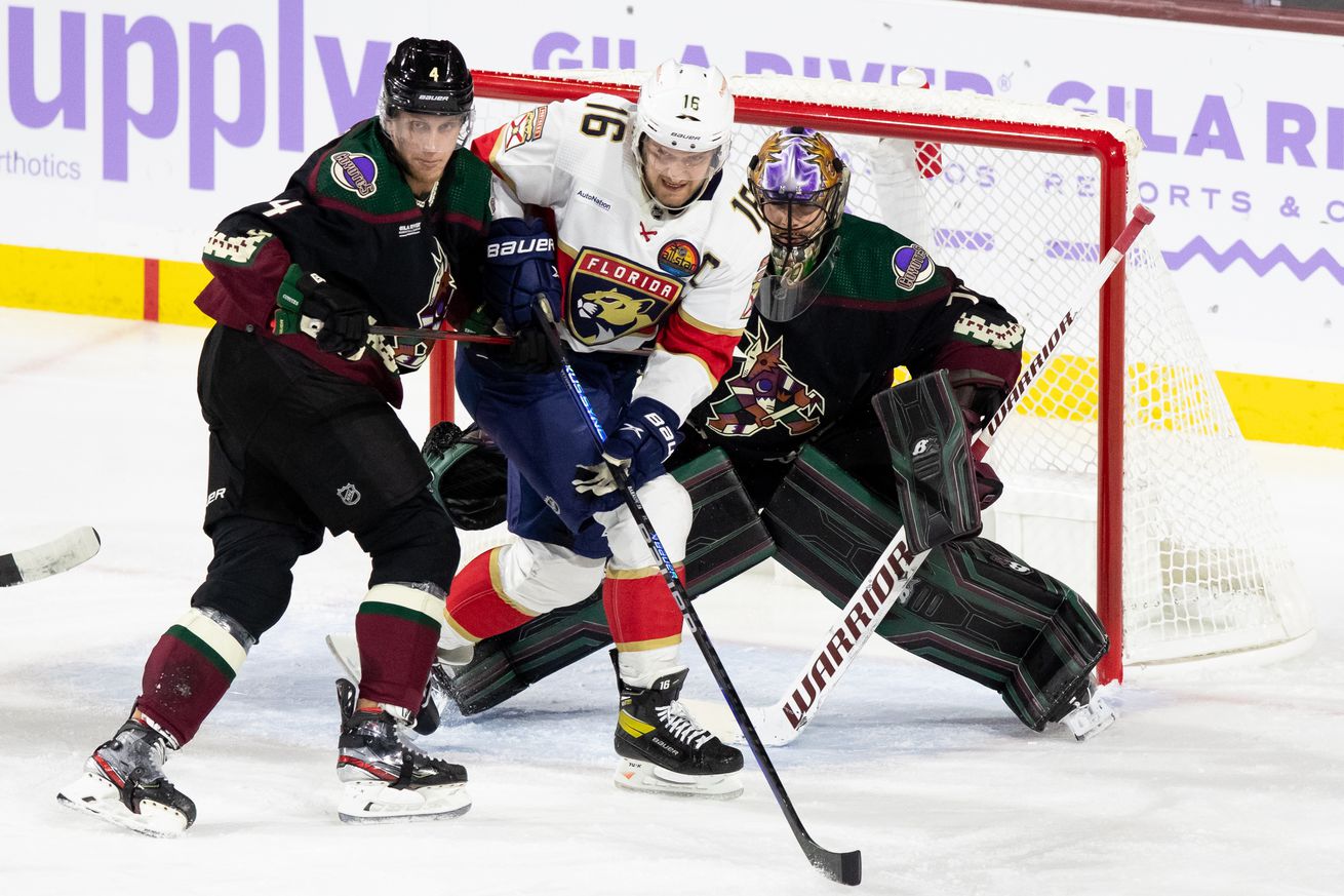 NHL: NOV 01 Panthers at Coyotes