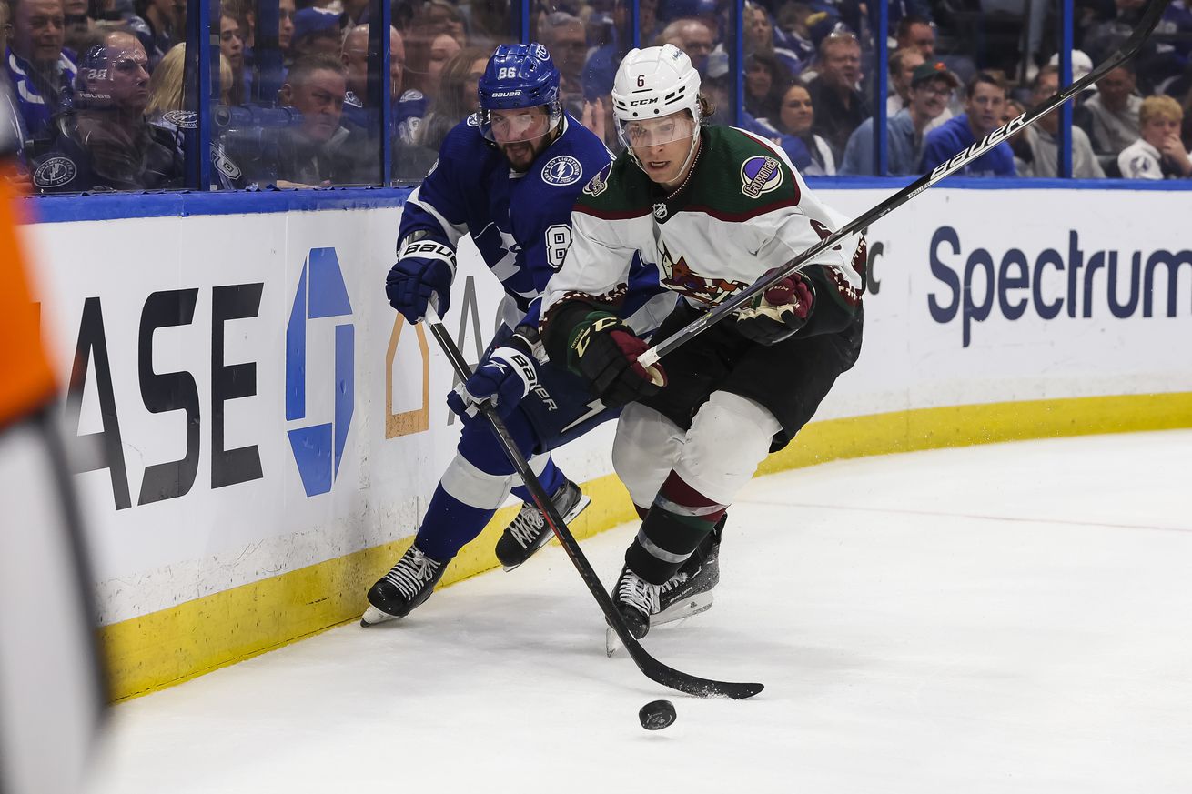 Arizona Coyotes v Tampa Bay Lightning