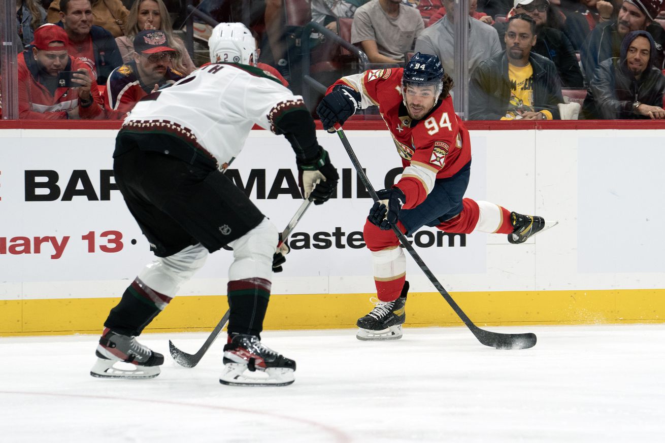 NHL: JAN 03 Coyotes at Panthers