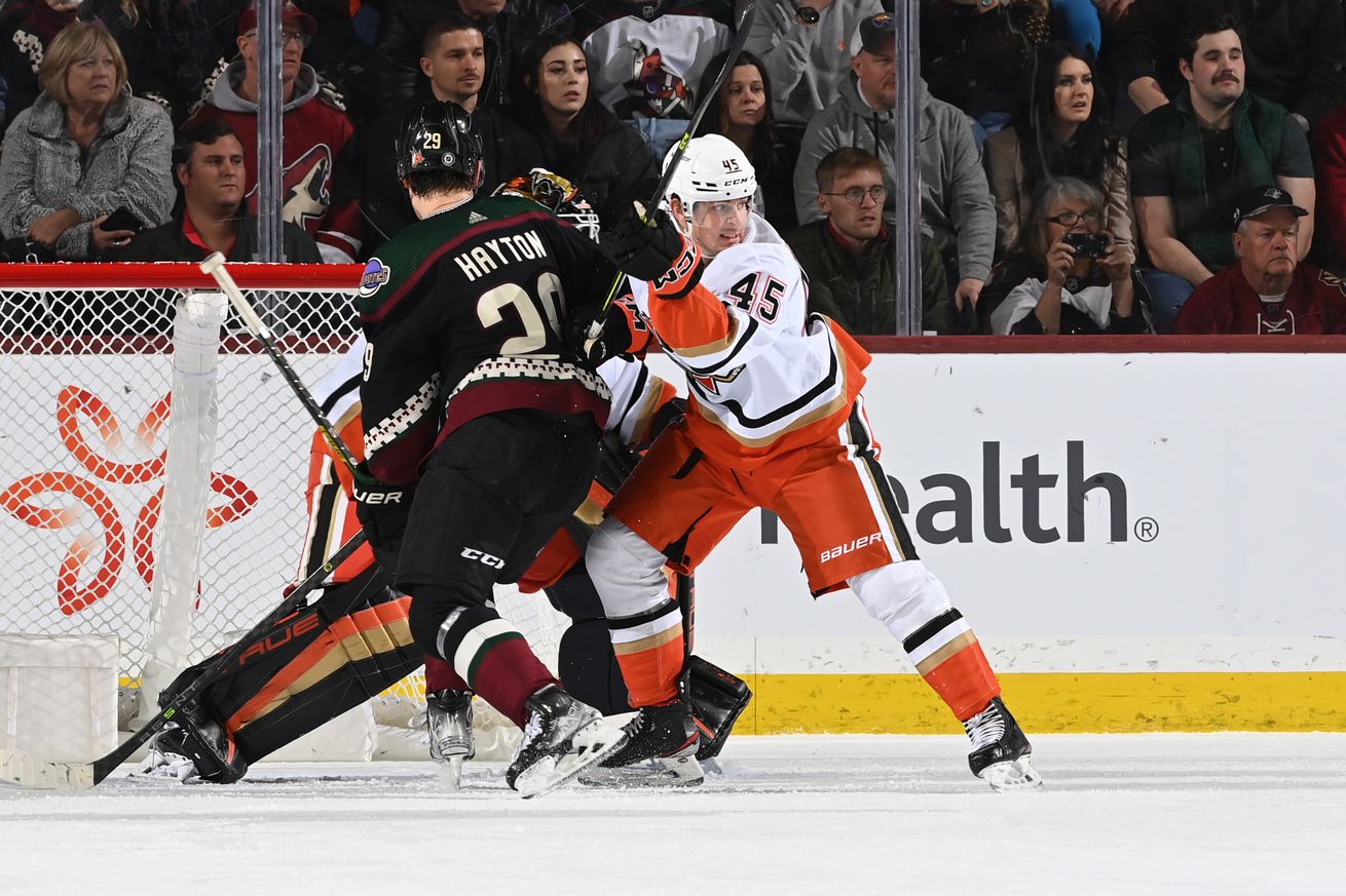 Anaheim Ducks v Arizona Coyotes