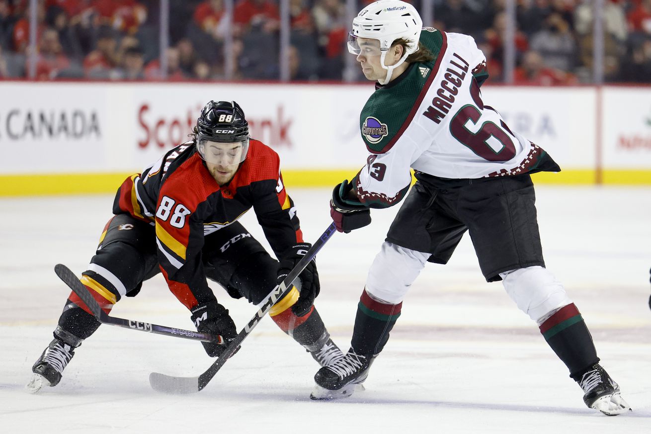 Arizona Coyotes v Calgary Flames