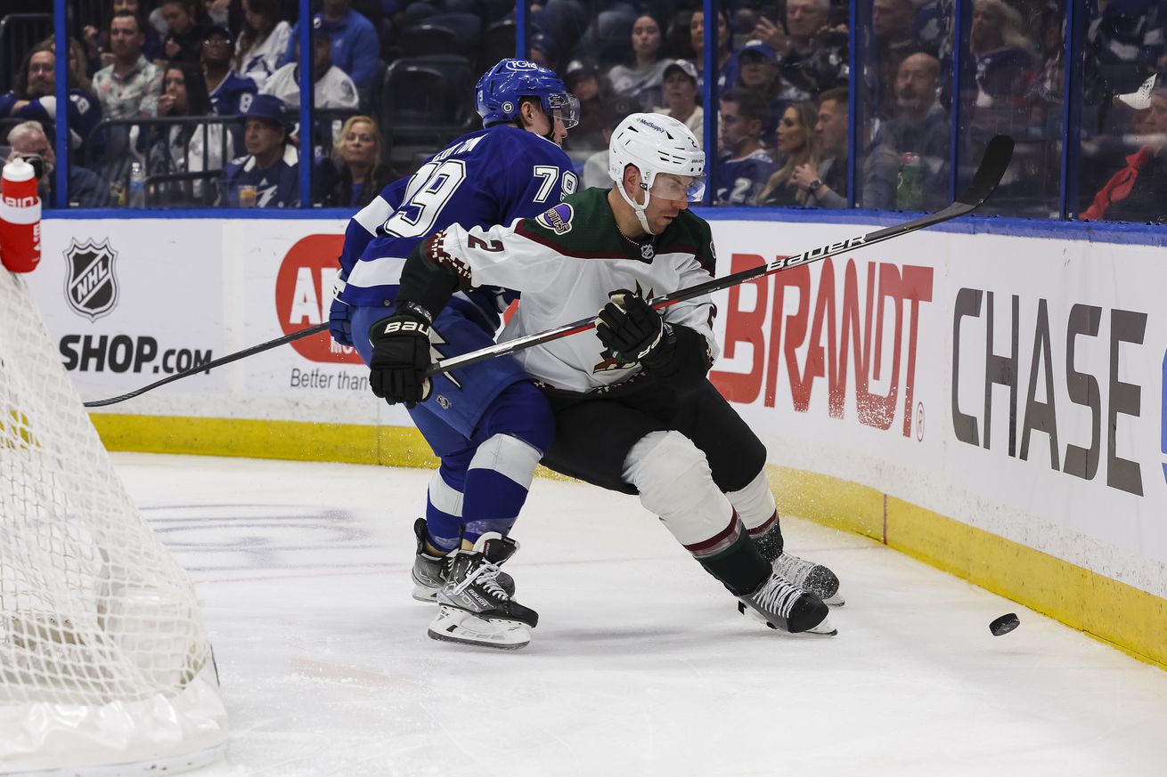 Arizona Coyotes v Tampa Bay Lightning