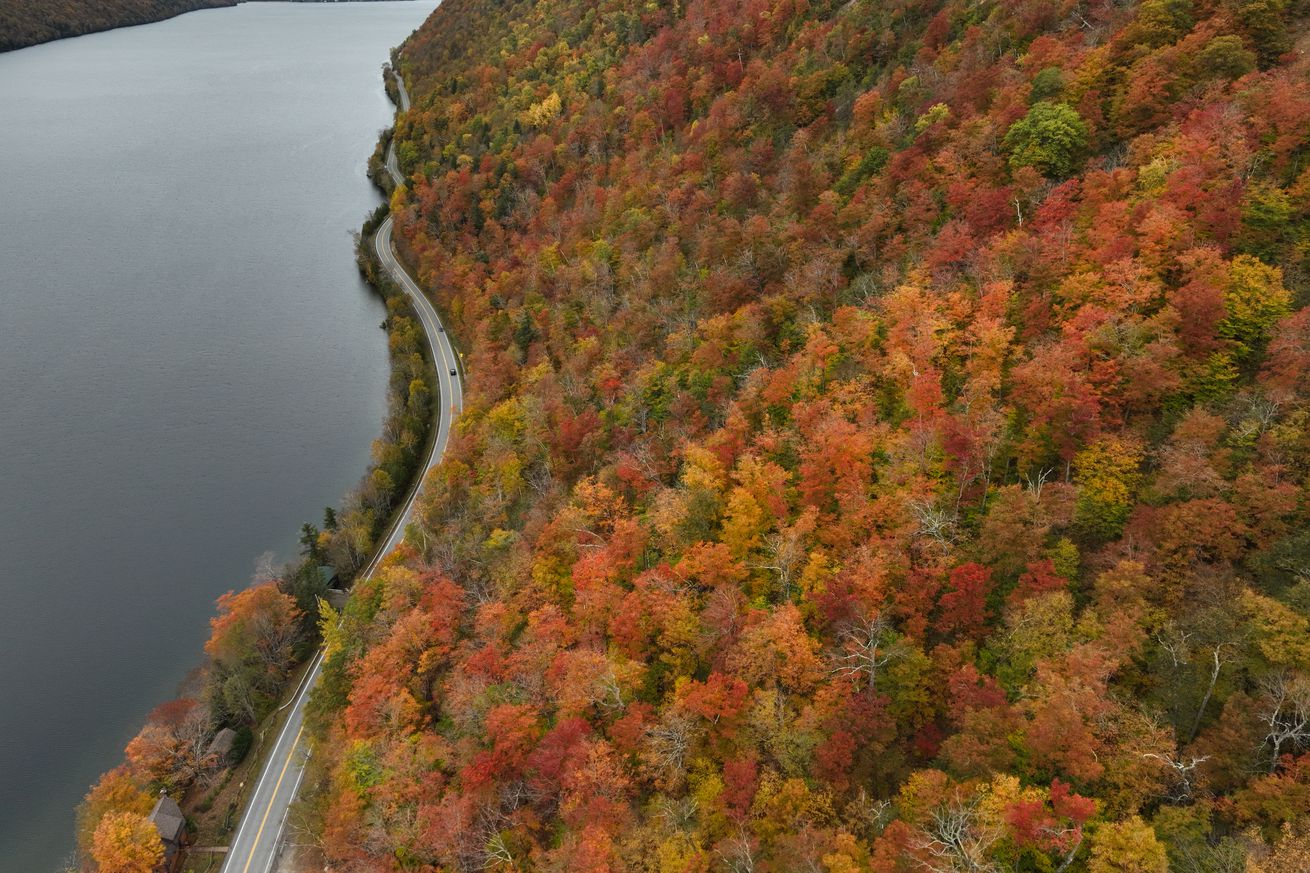 Fall foliage in Vermont