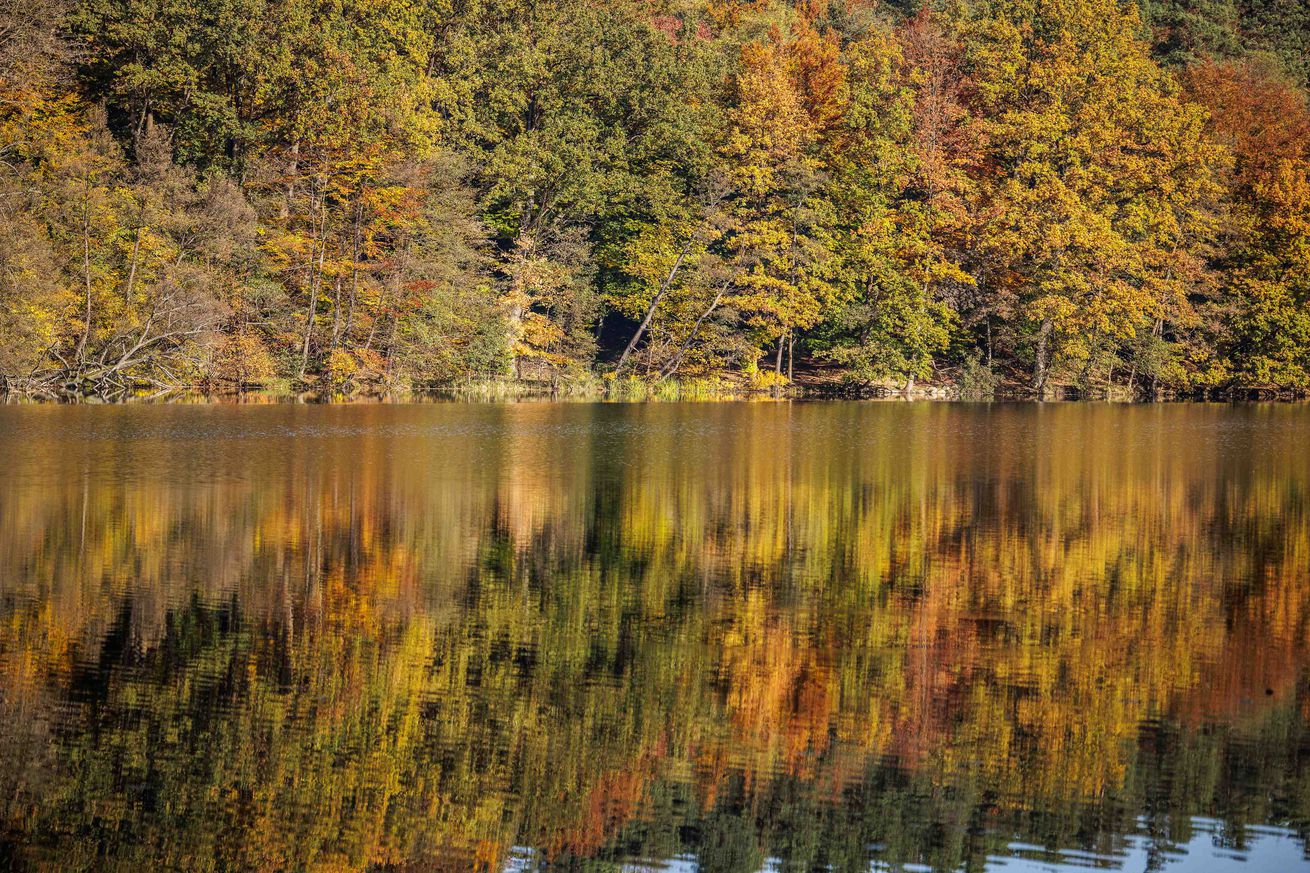 Autumn atmosphere in Brandenburg