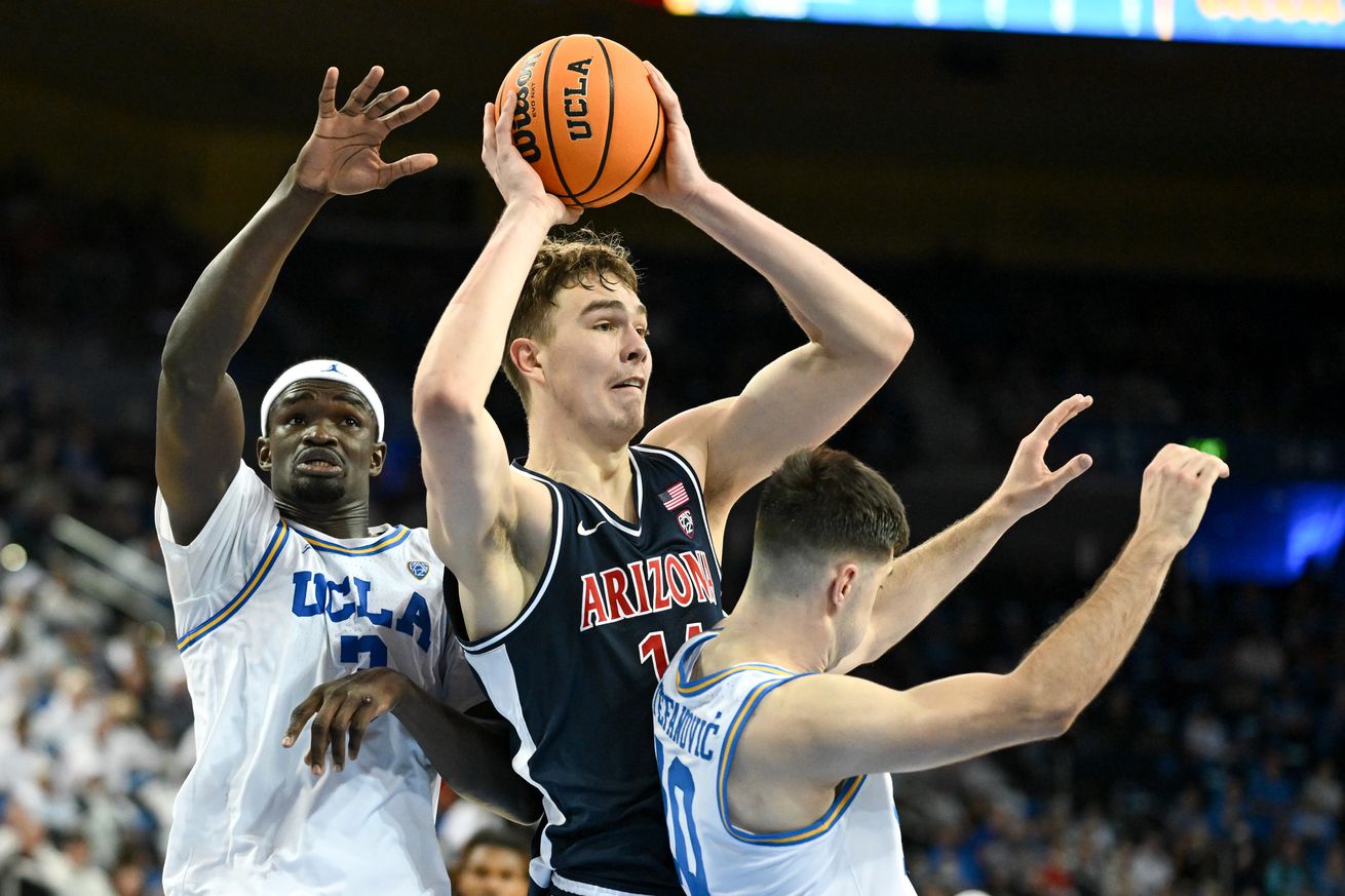 arizona-wildcats-mens-basketball-motiejus-krivas-ankle-injury-emmanuel-stephen-redshirt-canisius