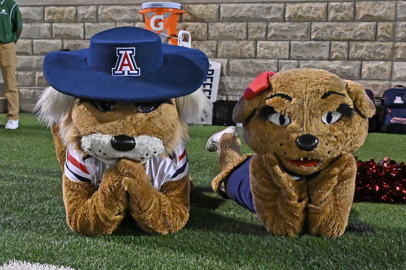 arizona-wildcats-football-tcu-horned-frogs-game-thread-chat-big12-live-stats-updates-2024