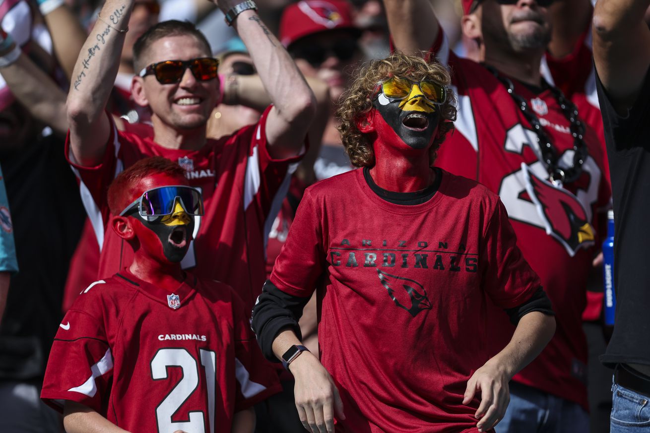 Arizona Cardinals v Miami Dolphins