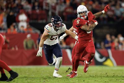 Chicago Bears v Arizona Cardinals