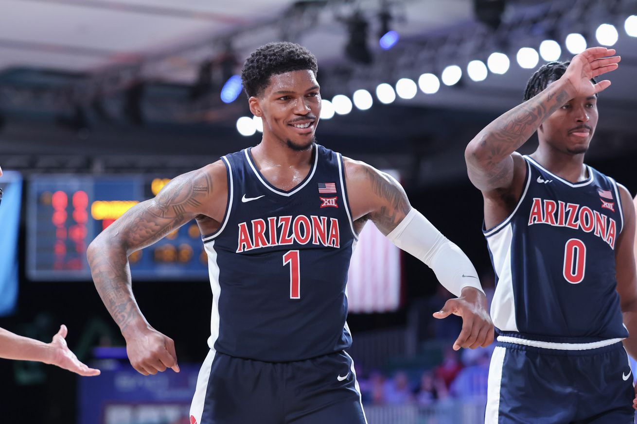 arizona-wildcats-mens-basketball-davidson-recap-final-score-highlights-dellorso-townsend-caleb-love