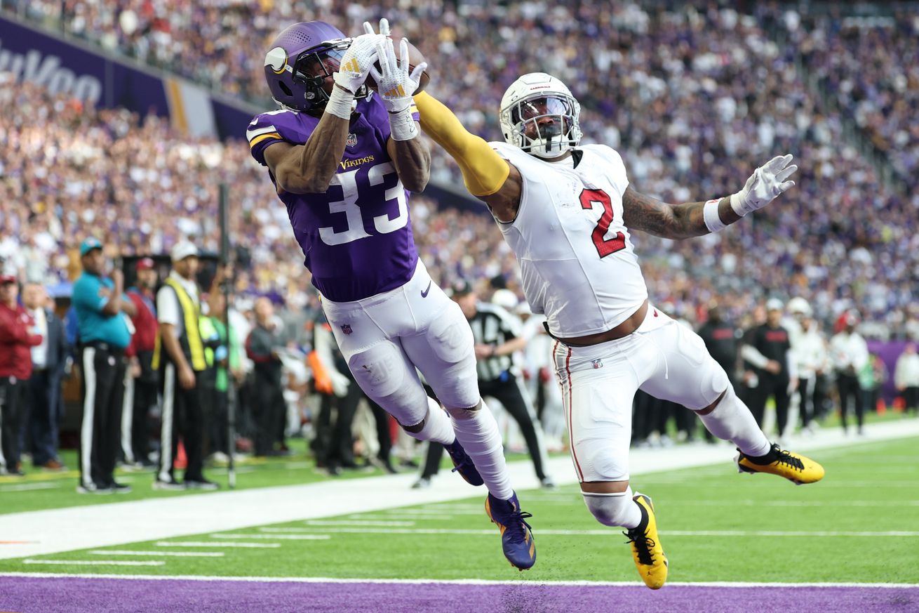 Arizona Cardinals v Minnesota Vikings