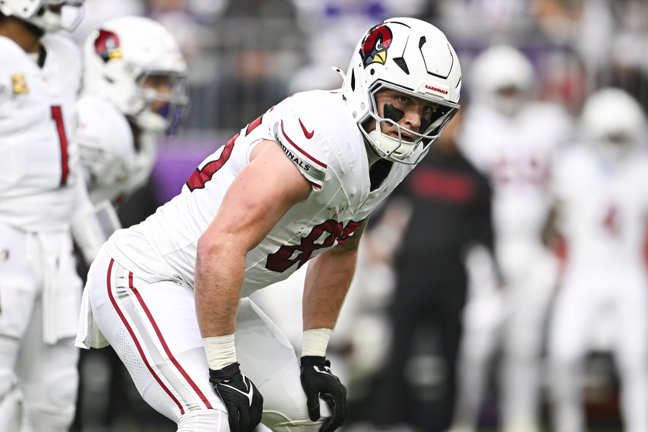 Arizona Cardinals v Minnesota Vikings