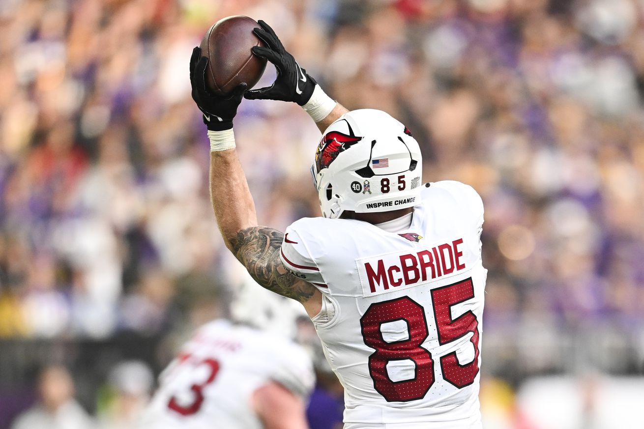 Arizona Cardinals v Minnesota Vikings