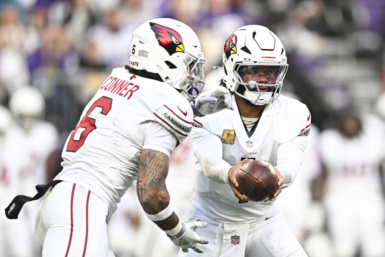 Arizona Cardinals v Minnesota Vikings