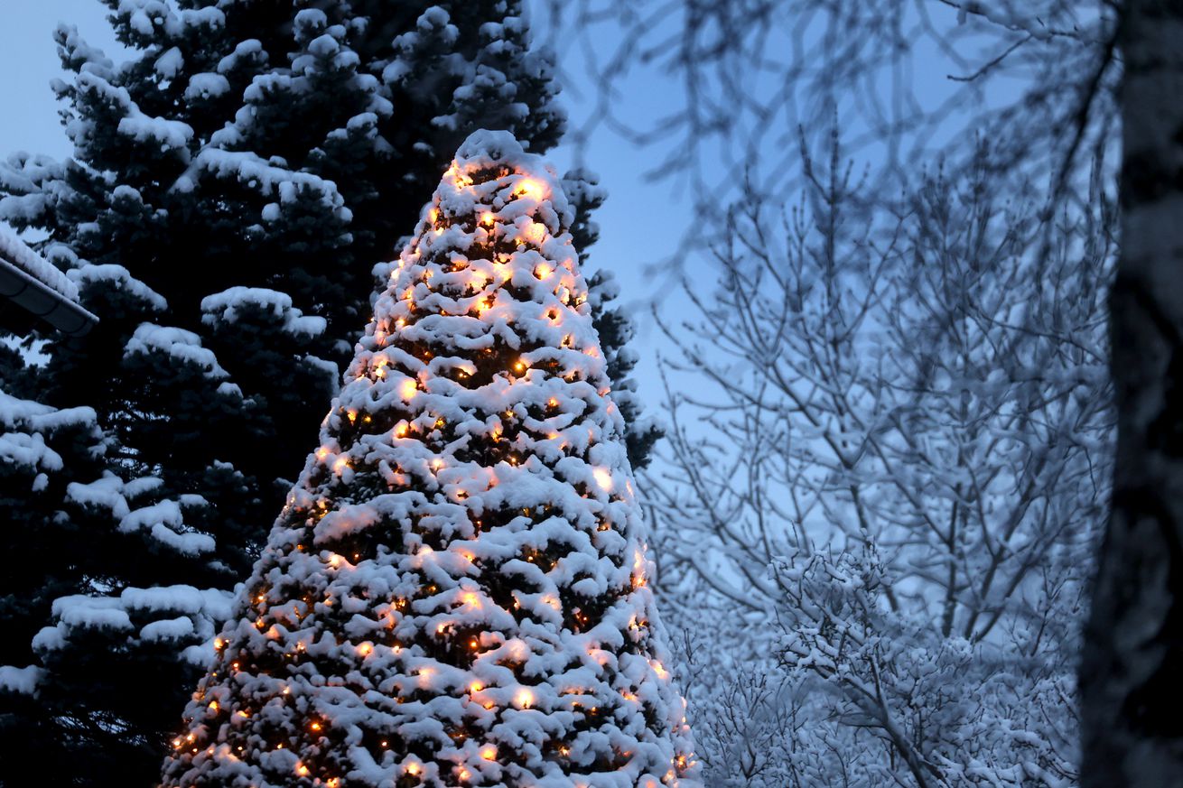 Fresh snow in southern Bavaria