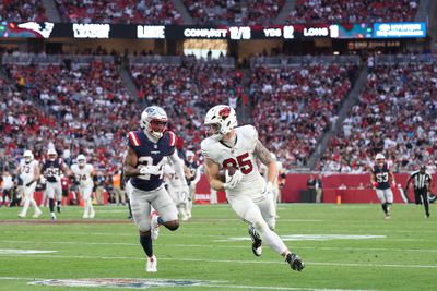 New England Patriots v Arizona Cardinals