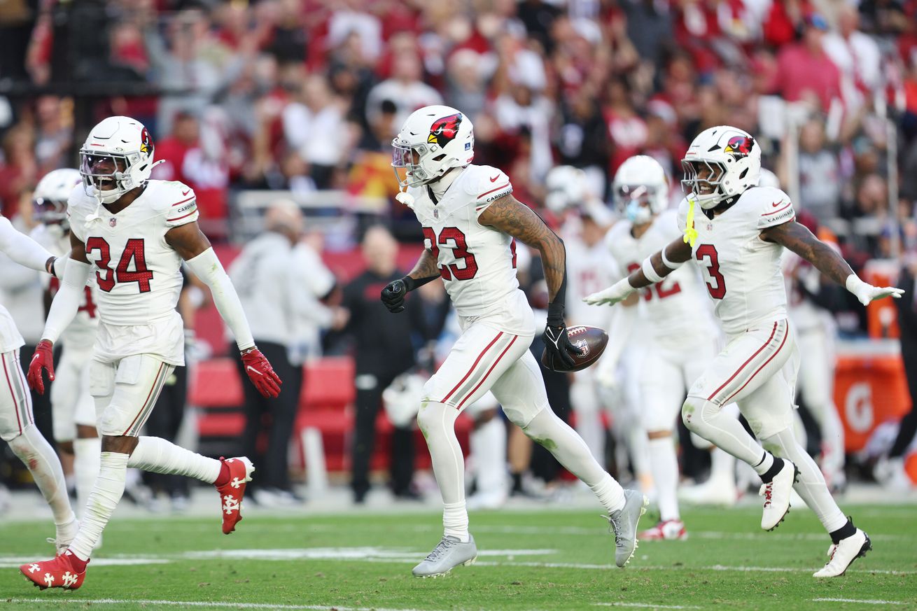 New England Patriots v Arizona Cardinals