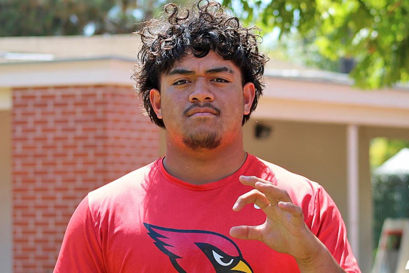 arizona-wildcats-football-early-2025-recruiting-profile-mays-pese-lineman-california