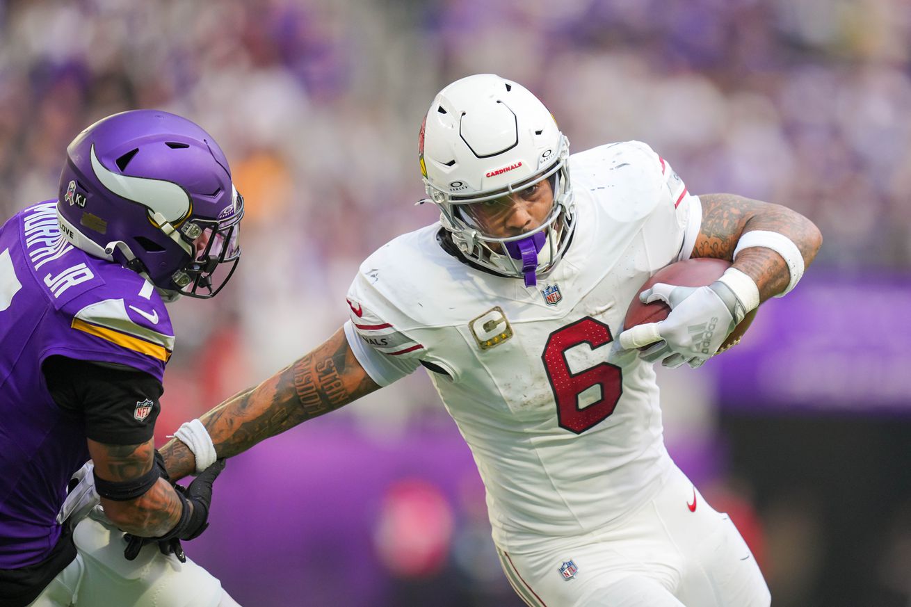 NFL: Arizona Cardinals at Minnesota Vikings