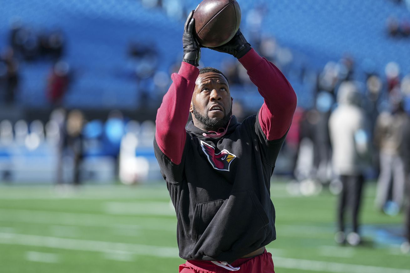 NFL: Arizona Cardinals at Carolina Panthers