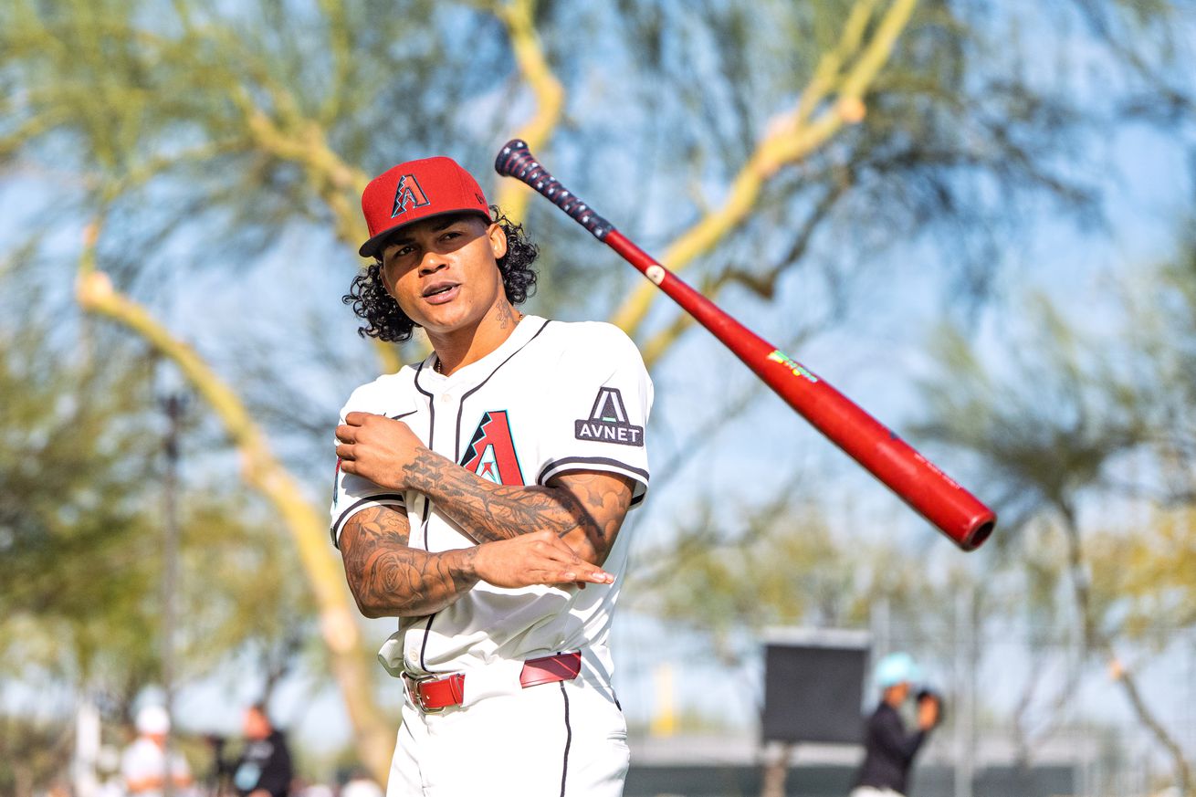 MLB: Arizona Diamondbacks-Media Day