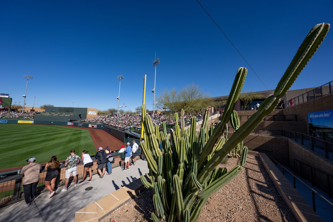 Colorado Rockies Spring Training